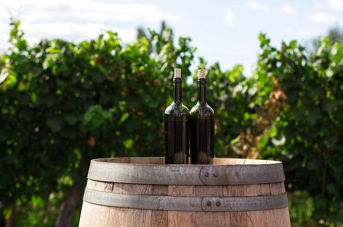 2 Hours Water to Wine Kayak Trip from Cottonwood - Alcantara Vineyards tasting with the $20 credit: where the value really shows up