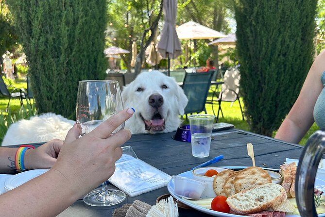 Alcantara Estate Vineyards Tasting Experience - Price and What Makes $375 Feel Reasonable