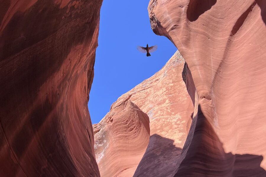 Antelope Canyon: Rattlesnake Canyon Tour - 50 minutes in Rattlesnake Canyon: walking, learning, and that water-carved look