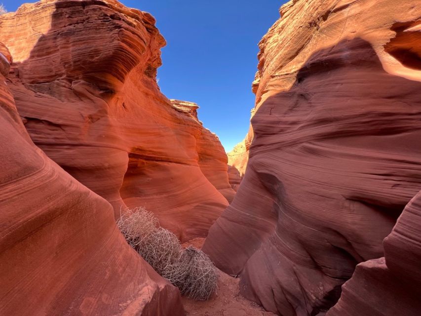 Antelope Canyon: Rattlesnake Canyon Tour - The mask requirement: plan for a quick, consistent setup