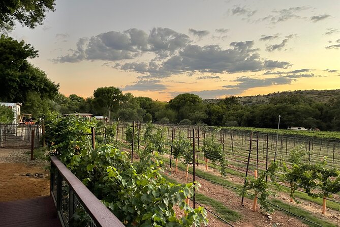 Arizona Winery All-Inclusive Tour with Lunch & Tastings - Key Highlights at a Glance
