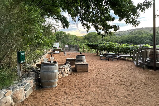 Arizona Winery All-Inclusive Tour with Lunch & Tastings - Why This Sedona Wine Tour Fits a Real Itinerary
