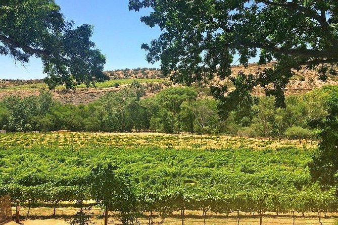 Bliss - Sedona’s Most Luxurious Wine Tour - Lunch Included! - Stop 2: Cove Mesa Vineyard and a Lunch You Actually Look Forward To