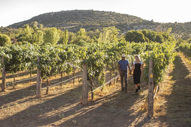 Bliss - Sedona’s Most Luxurious Wine Tour - Lunch Included! - Price and What You Actually Get for $115