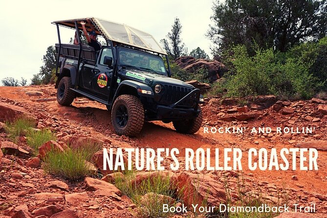 Diamondback Gulch 4x4 Open-Air Jeep Tour in Sedona - Guides make it educational: geology, plants, animals, and Native history