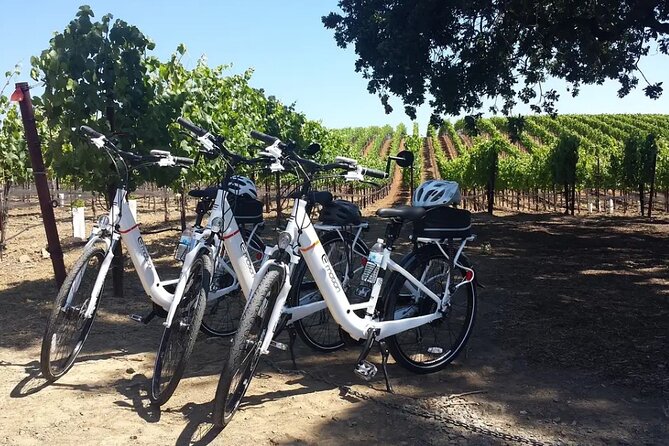 Experience E-Bike with Wine Tasting Activity - Stop One in the Verde Valley: Vineyard Sights and River Views