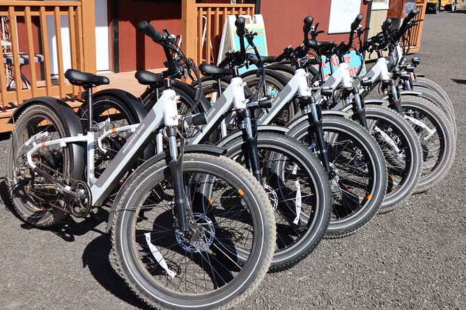 Experience E-Bike with Wine Tasting Activity - Where You Meet and What to Expect From the Ride Time