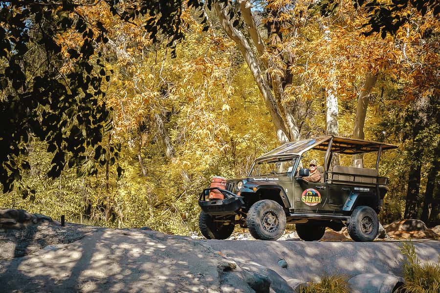 From Sedona: 1.5-Hour Oak Creek Canyon Jeep Pavement Tour - What you learn on the drive: fault lines, cliffs, and human stories