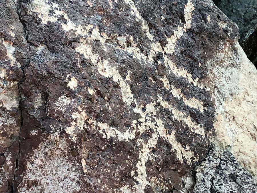 From Sedona: Archeology and Nature Hike - Key highlights to look forward to