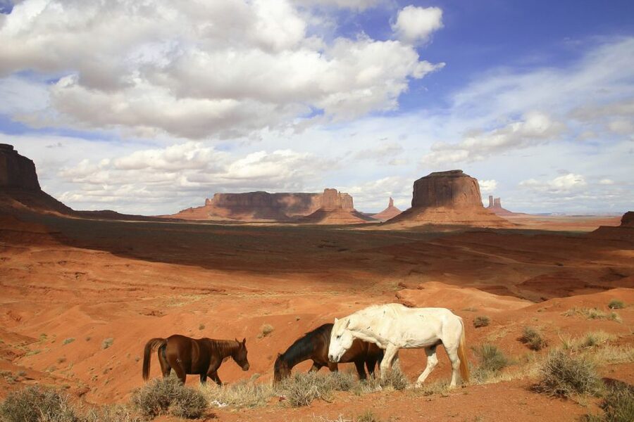 From Sedona or Flagstaff: Full-Day Monument Valley Tour - Timing, comfort, and group size for an 11-hour day
