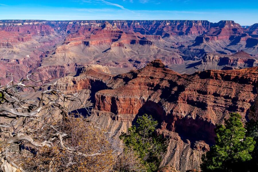 From Sedona or Flagstaff: Grand Canyon Full-Day Tour - The Phantom Ranch + Kaibab Suspension Bridge Viewpoint