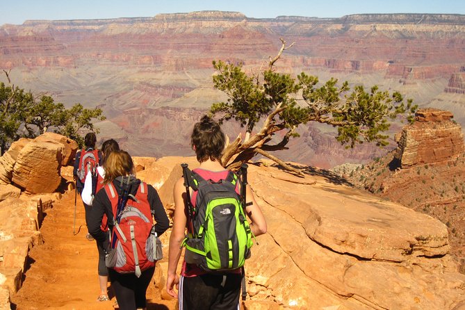Grand Canyon Hike with Sedona and Flagstaff Hotel Pickup - Grand Canyon South Rim: the guided descent inside the canyon