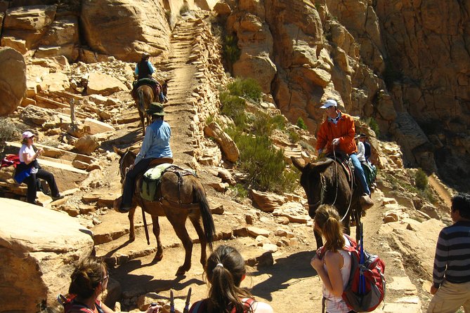 Grand Canyon Hike with Sedona and Flagstaff Hotel Pickup - Ascent back to the rim: where hiking poles earn their keep