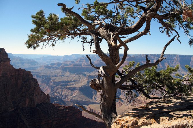 Grand Canyon Hike with Sedona and Flagstaff Hotel Pickup - Cameron Trading Post and the Grand Canyon Village stop: a cultural break on the way back