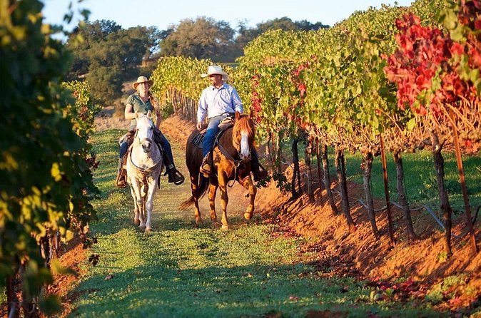 Guided Horseback Tour only 30 mins from Sedona. - Passing the Vineyards and Settling Into the Scenery