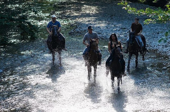 Guided Horseback Tour only 30 mins from Sedona. - Views and Panoramas: Where the Guide Turns the Trip Into a Story