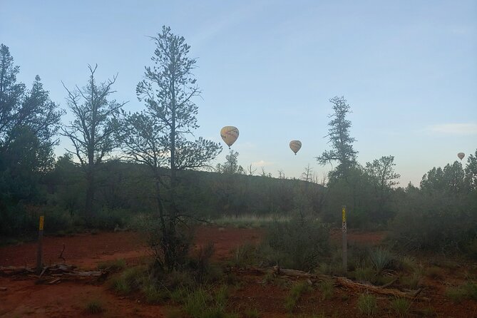Half-Day Private Scenic Tour of Sedona - Price and Value: Why $205 Per Person Can Be Worth It