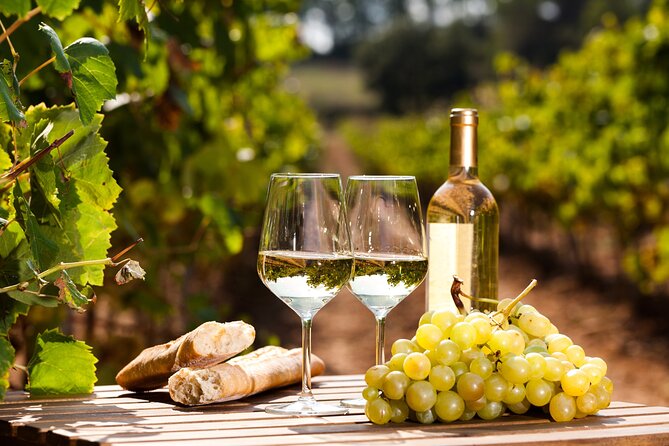 Northern Arizona Private Wine Tour south of Sedona - Verde Valley Wineries - From pickup to Verde Valley roads: what the luxury transport really means