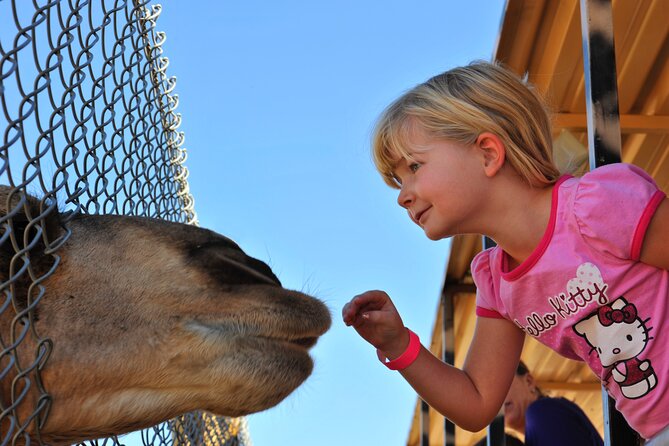 Out of Africa Wildlife Park Admission Ticket - Close encounters that feel hands-on (and what to expect)