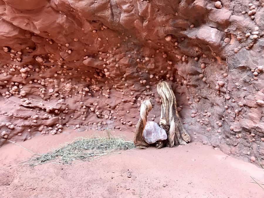 Page: Antelope Valley Wind Pebble Canyon Tour - Getting there at the right time: where the tour meets