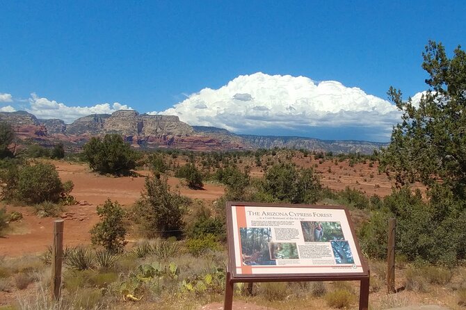 Private 4-Hour Sedona Spirit Journey and Vortex Tour - Where this tour delivers the best value