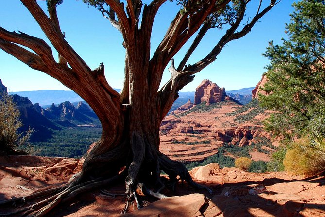 PRIVATE Sedona Jeep Tour 4X4 Climb - Colorado Plateau - Stop 1 on State Route 89A: Quick Check-In Before the Climb