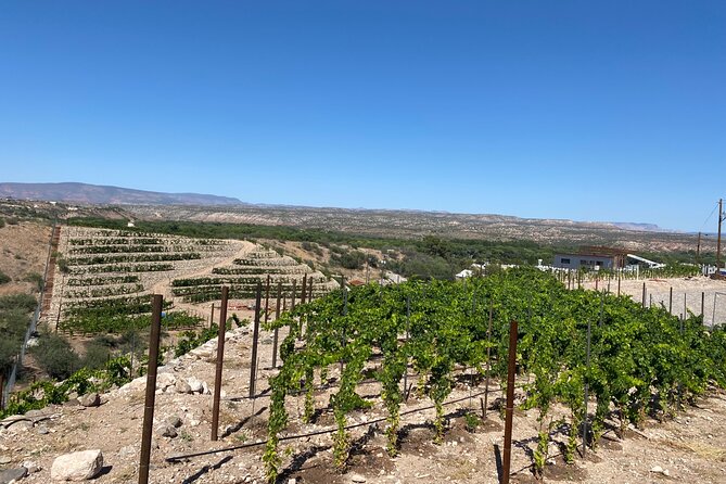 Private Wine Tour from Sedona - Arizona’s Most Luxurious Wine Tour - Stop 4: Oak Creek Vineyards & Winery to Close Strong