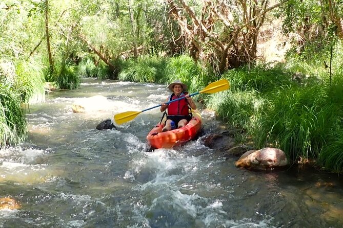 Scenic Guided Kayak Trip - Price and Value: Is $107.65 Fair for This Kind of Trip?