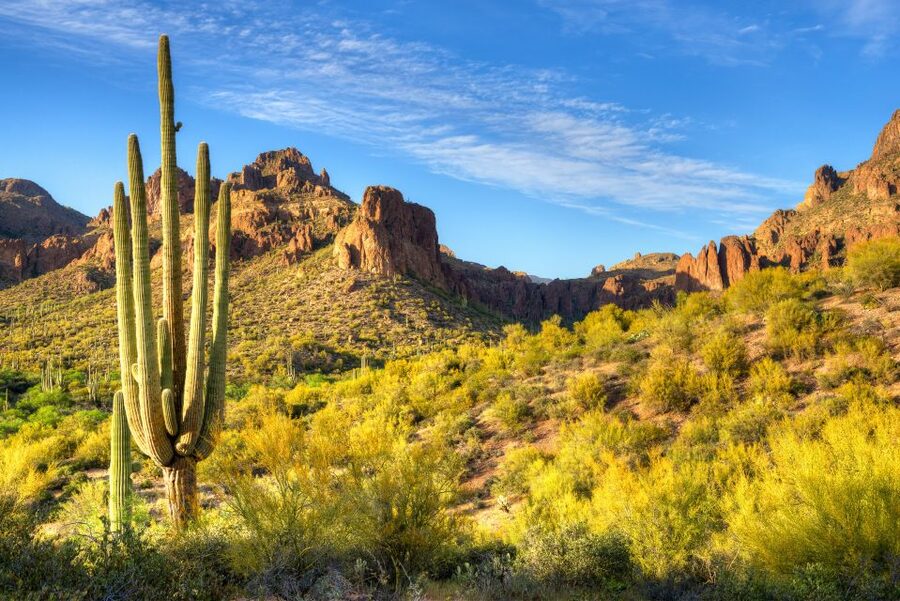 Sedona Day Trip: From Metro Phoenix / Scottsdale - Why the Small-Group Format (Max 5) Changes the Day