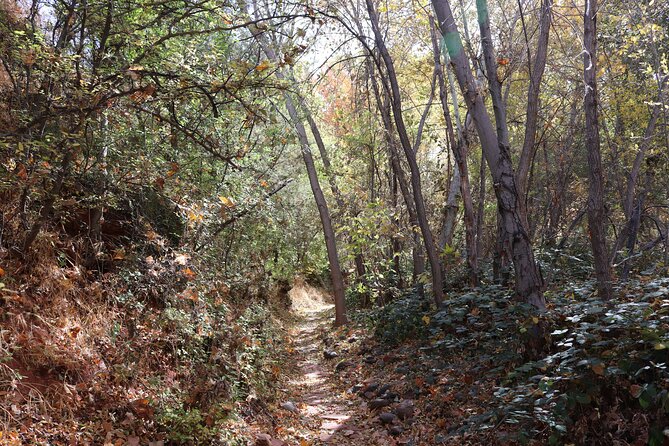 Sedona Easy Hiking Tour with a Private Guide - Smoke Trail and Kisva Trail: shade, cool air, and older footsteps