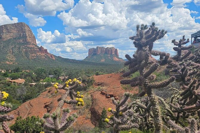 Sedona Magical Sightseeing Highlight Tour- 5 Stars - Stop 2: Sedona Airport Scenic Overlook for the big-picture view