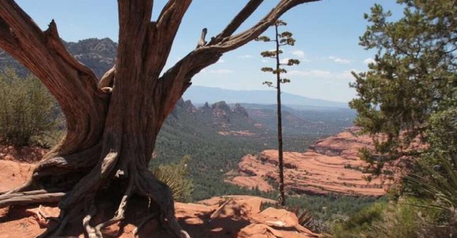 Sedona: PRIVATE 2-Hour Colorado Plateau Scenic Jeep Tour - Key Points That Matter