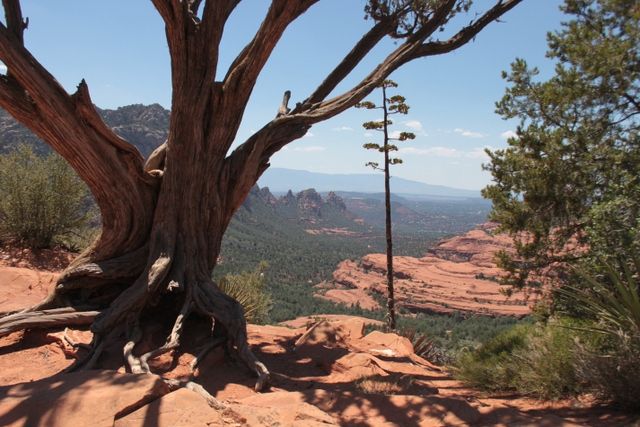 Sedona: PRIVATE 2-Hour Colorado Plateau Scenic Jeep Tour - Season and weather: what changes in winter