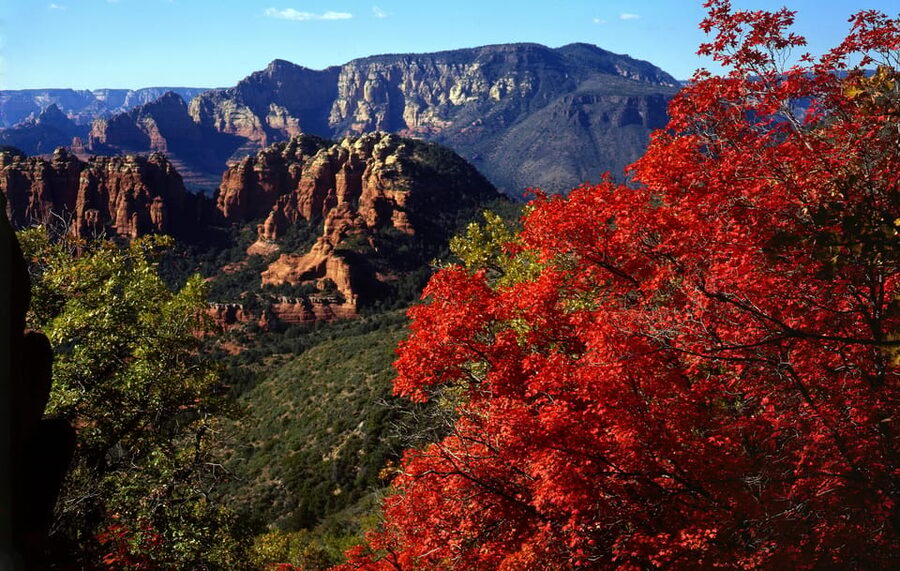 Sedona: PRIVATE Pavement 2-Hour Highlights Jeep Tour - Should you book this Sedona highlights Jeep tour?