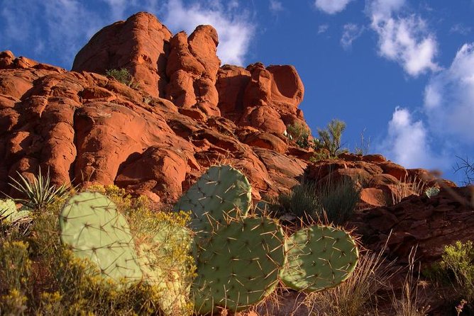 Sedona Red Rocks Outback Tour: Scenic with mild off-roading - Where You Meet: 335 Jordan Rd and a Straightforward Plan