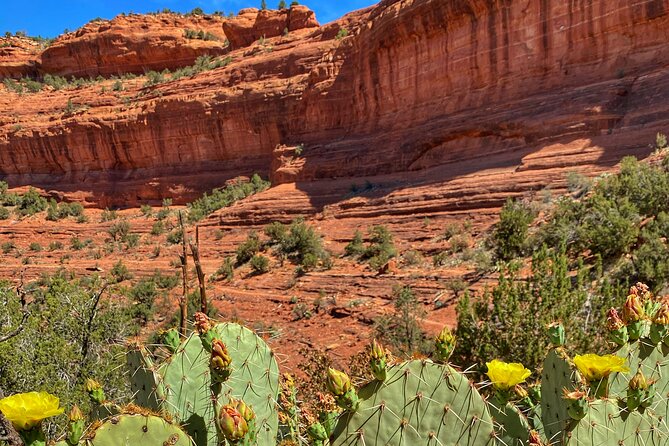 Sedona Sacred Canyons Loop Hike With a Private Guide - Pickup, Meeting Points, and How to Fit This Into Your Day