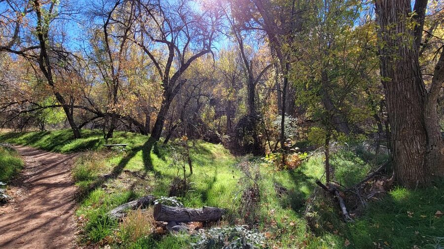Sedona: The Scientific and Spiritual Vortex Tour - A Quick Stop-By-Stop Reality Check