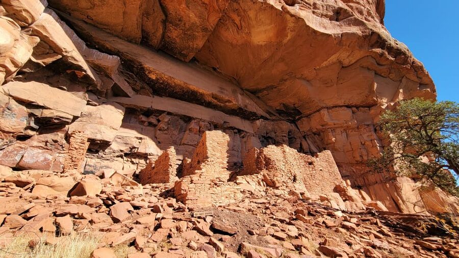 Sedona: The Scientific and Spiritual Vortex Tour - Roadrunner Plaza Unit 13: Getting There Without Drama
