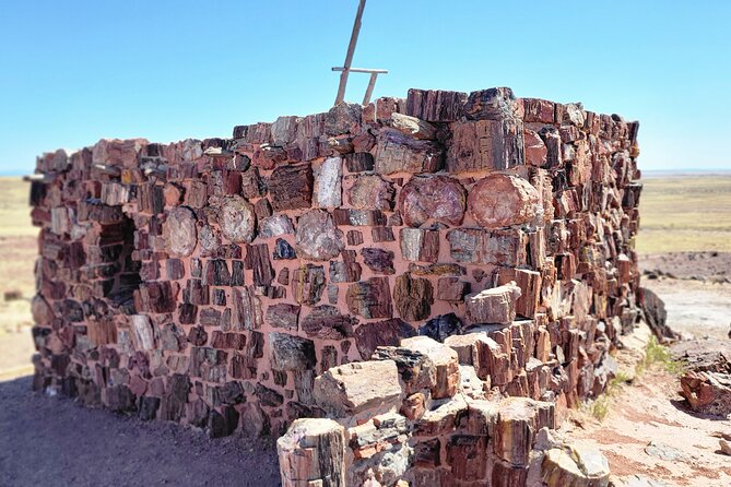 Sedona to Petrified Forest/Painted Desert Adventure PRIVATE TOUR! - Petrified Forest National Park: where the Chinle Formation tells its story