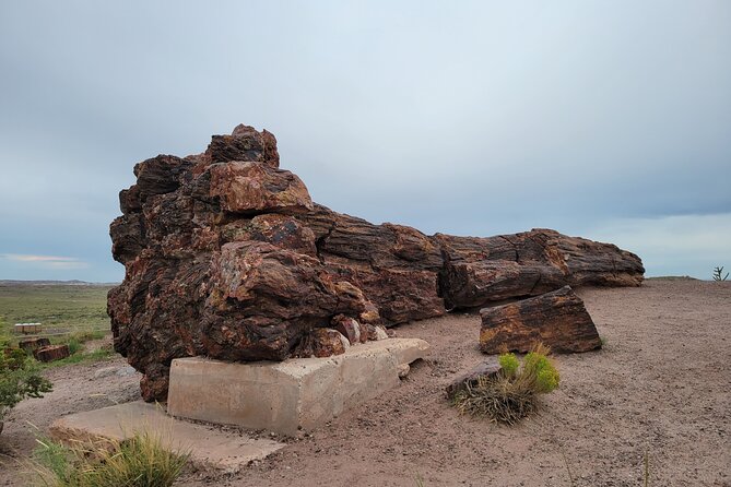 Sedona to Petrified Forest/Painted Desert Adventure PRIVATE TOUR! - Crystal Forest Trail and Agate Bridge: short stops that feel educational