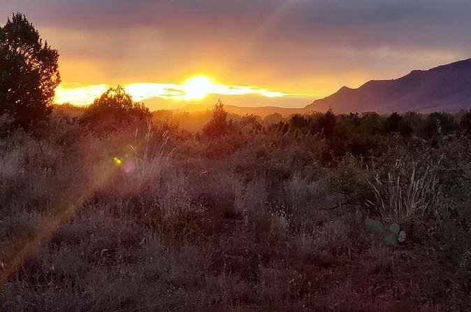 Sunrise Wildlife Safari Tour by Jeep from Sedona - The Stops You’ll Experience: How the Route Plays Out
