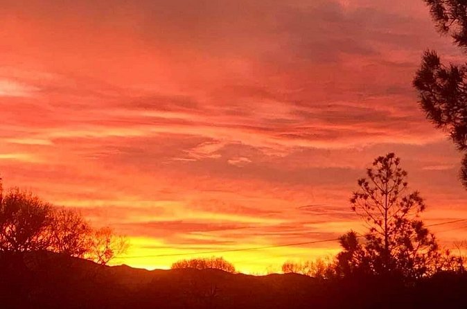 Sunrise Wildlife Safari Tour by Jeep from Sedona - Should You Book This Sunrise Wildlife Safari?