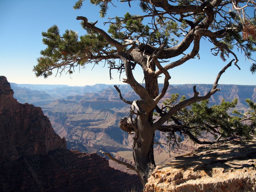 The Grand Canyon Classic Tour From Sedona, AZ - Navajo Reservation stop and Cameron Trading Post shopping