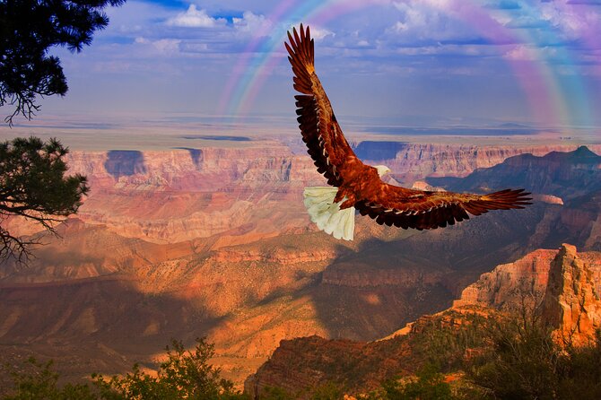 The Perfect Grand Canyon Tour with Local Expert Guides - Mather Point: your first big South Rim view