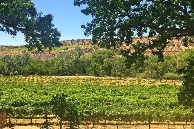 Visit 4 Wineries in Limo Party Bus-Includes Charcuterie Lunch! - Pickup and timing: how to plan your day