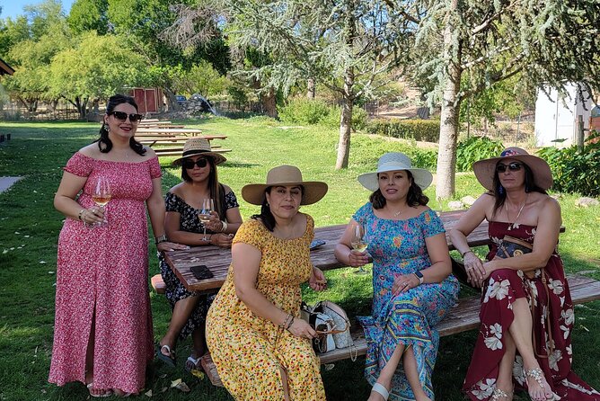 Voted Best in Sedona-Elevated Social Wine Tour of our Vineyards - Stop 2: DA Ranch’s log cabin porch, springs, and the adult swing