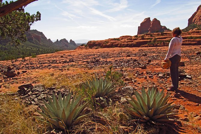 Whole-Day Sedona Vortex Experience - Weather and physical pacing: what to plan for